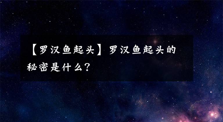 【羅漢魚起頭】羅漢魚起頭的秘密是什么？