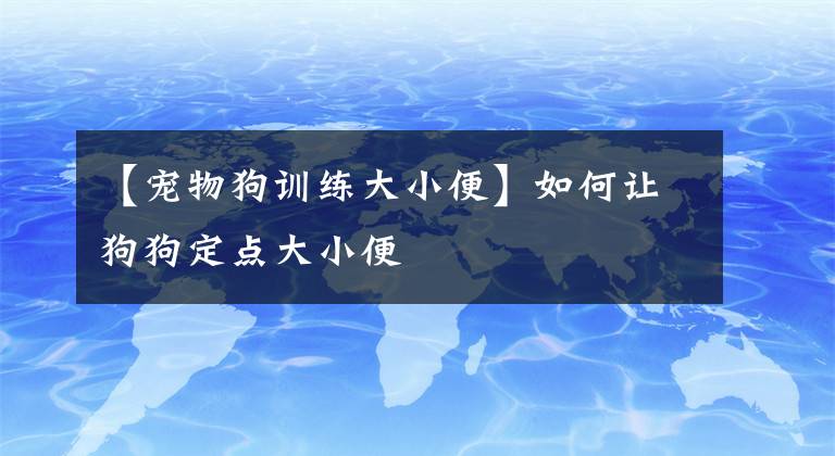 【寵物狗訓(xùn)練大小便】如何讓狗狗定點(diǎn)大小便