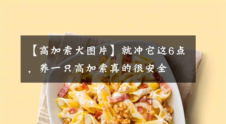 【高加索犬圖片】就沖它這6點(diǎn)，養(yǎng)一只高加索真的很安全