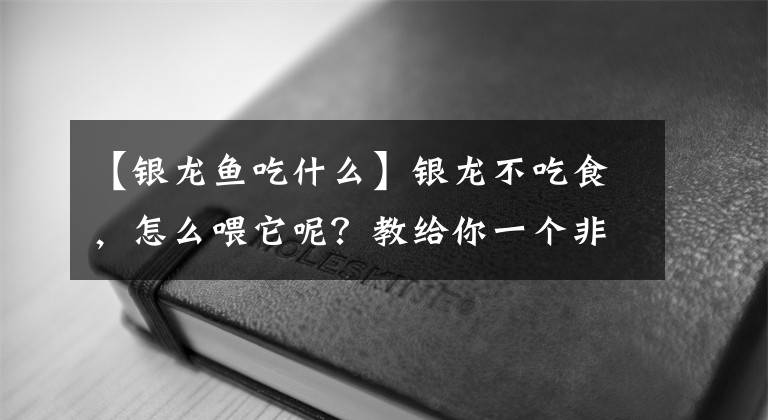 【銀龍魚吃什么】銀龍不吃食，怎么喂它呢？教給你一個非常簡單的方法