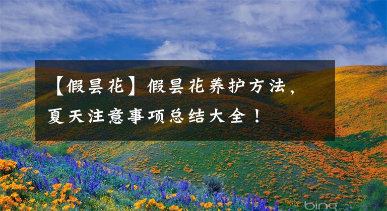 【假曇花】假曇花養(yǎng)護方法，夏天注意事項總結(jié)大全！