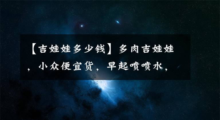 【吉娃娃多少錢】多肉吉娃娃，小眾便宜貨，早起噴噴水，葉片紅潤(rùn)潤(rùn)，瞬間變美麗