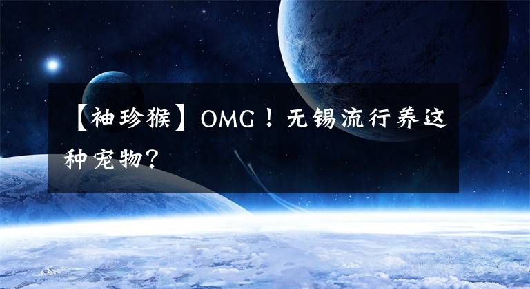 【袖珍猴】OMG！無(wú)錫流行養(yǎng)這種寵物？