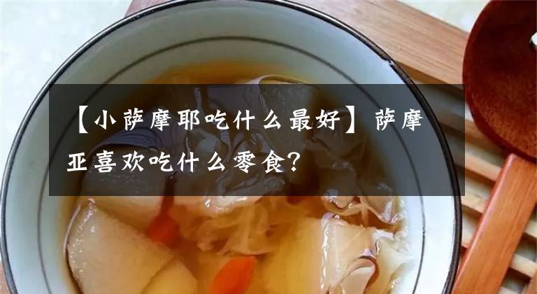 【小薩摩耶吃什么最好】薩摩亞喜歡吃什么零食？