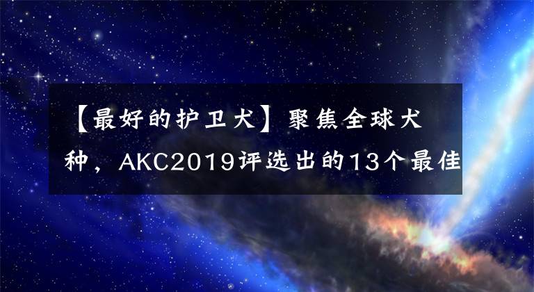 【最好的護衛(wèi)犬】聚焦全球犬種，AKC2019評選出的13個最佳家庭護衛(wèi)犬