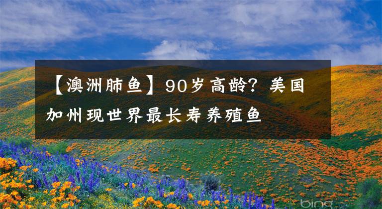 【澳洲肺魚】90歲高齡？美國加州現(xiàn)世界最長壽養(yǎng)殖魚