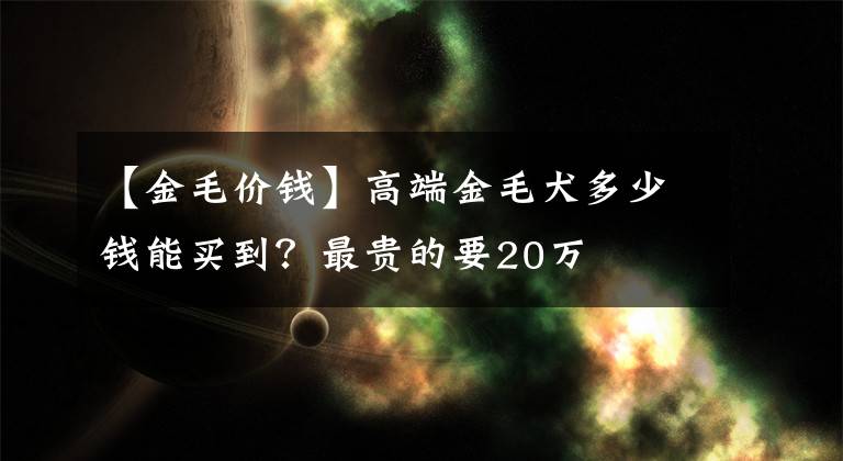 【金毛價錢】高端金毛犬多少錢能買到？最貴的要20萬