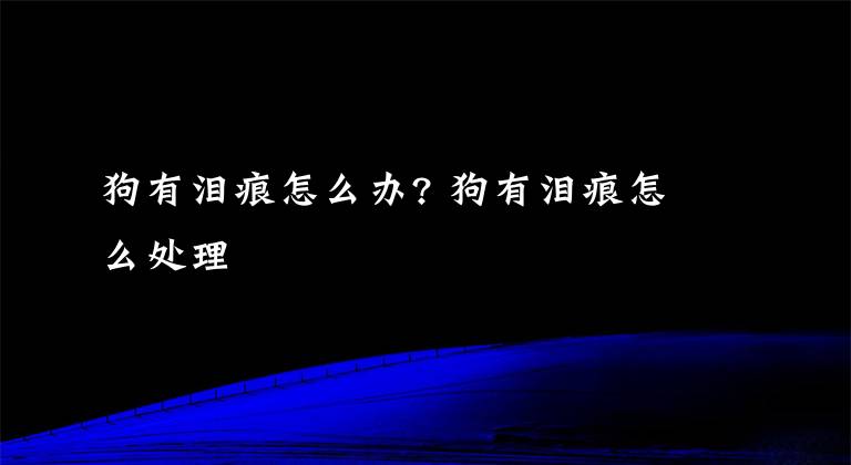 狗有淚痕怎么辦? 狗有淚痕怎么處理