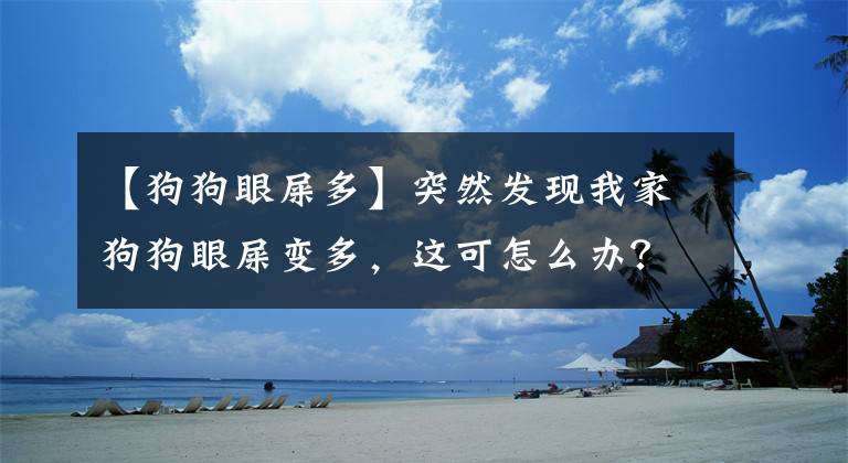 【狗狗眼屎多】突然發(fā)現(xiàn)我家狗狗眼屎變多，這可怎么辦？