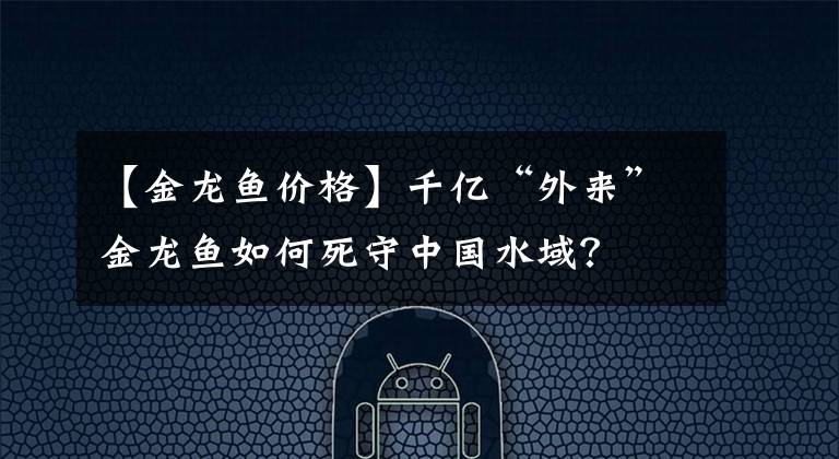 【金龍魚價格】千億“外來”金龍魚如何死守中國水域？