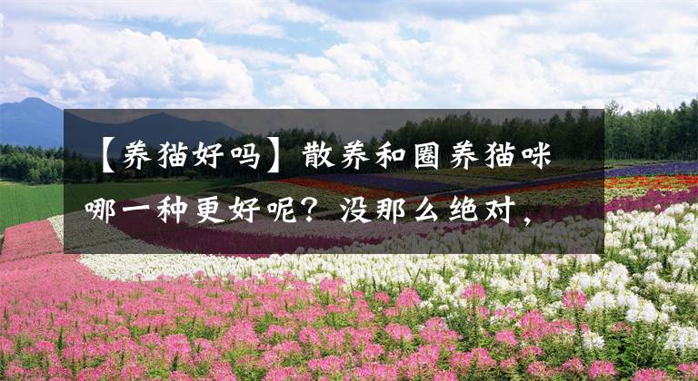 【養(yǎng)貓好嗎】散養(yǎng)和圈養(yǎng)貓咪哪一種更好呢？沒那么絕對，都有各自的優(yōu)缺點