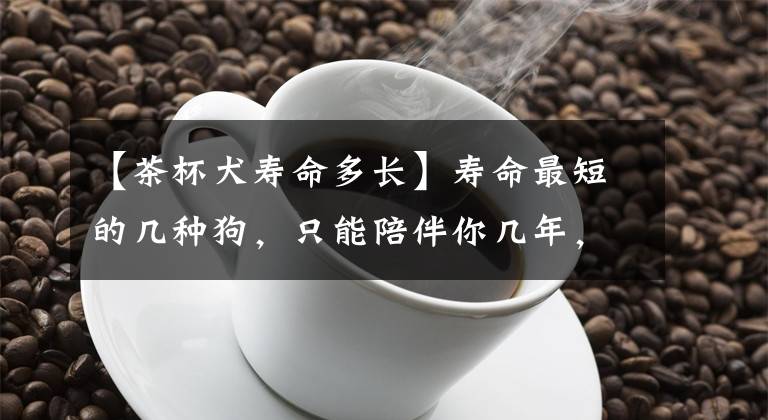 【茶杯犬壽命多長】壽命最短的幾種狗，只能陪伴你幾年，養(yǎng)了要珍惜