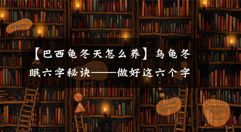 【巴西龜冬天怎么養(yǎng)】烏龜冬眠六字秘訣——做好這六個(gè)字烏龜冬眠無(wú)憂