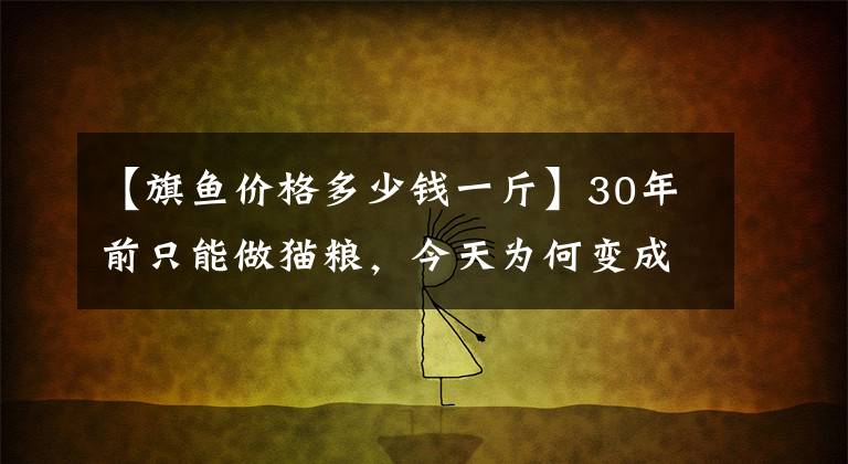 【旗魚價格多少錢一斤】30年前只能做貓糧，今天為何變成奢侈品？藍鰭金槍魚為何如此貴