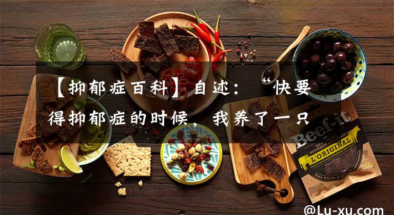 【抑郁癥百科】自述：“快要得抑郁癥的時(shí)候，我養(yǎng)了一只小貓”