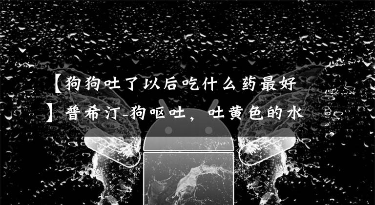 【狗狗吐了以后吃什么藥最好】普希汀-狗嘔吐，吐黃色的水是怎么回事？