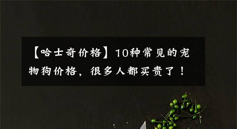 【哈士奇價格】10種常見的寵物狗價格，很多人都買貴了！