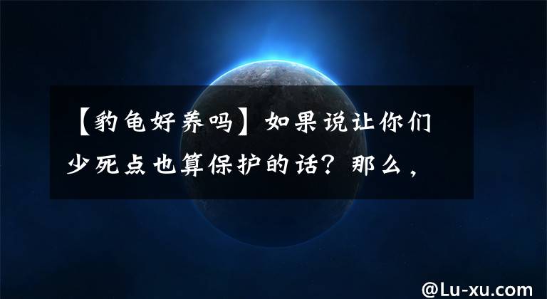 【豹龜好養(yǎng)嗎】如果說讓你們少死點(diǎn)也算保護(hù)的話？那么，陸龜飼養(yǎng)小細(xì)節(jié)