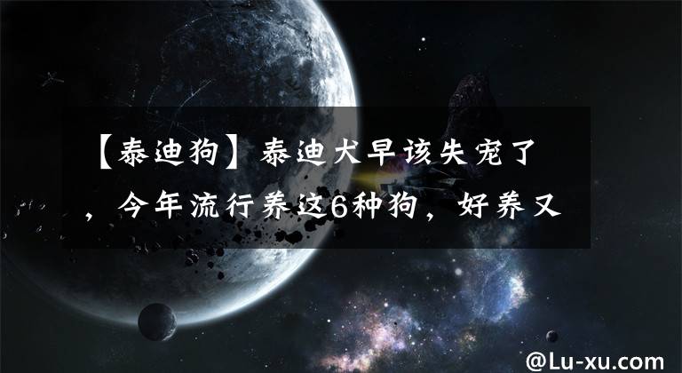 【泰迪狗】泰迪犬早該失寵了，今年流行養(yǎng)這6種狗，好養(yǎng)又不貴