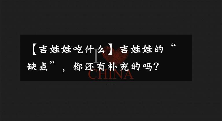 【吉娃娃吃什么】吉娃娃的“缺點”，你還有補(bǔ)充的嗎？