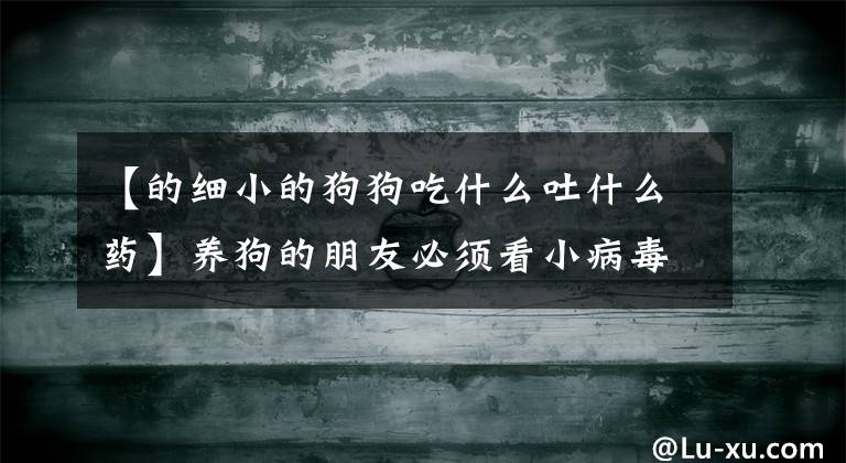 【的細小的狗狗吃什么吐什么藥】養(yǎng)狗的朋友必須看小病毒治療