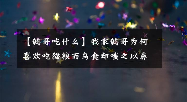 【鷯哥吃什么】我家鷯哥為何喜歡吃貓糧而鳥食卻嗤之以鼻？