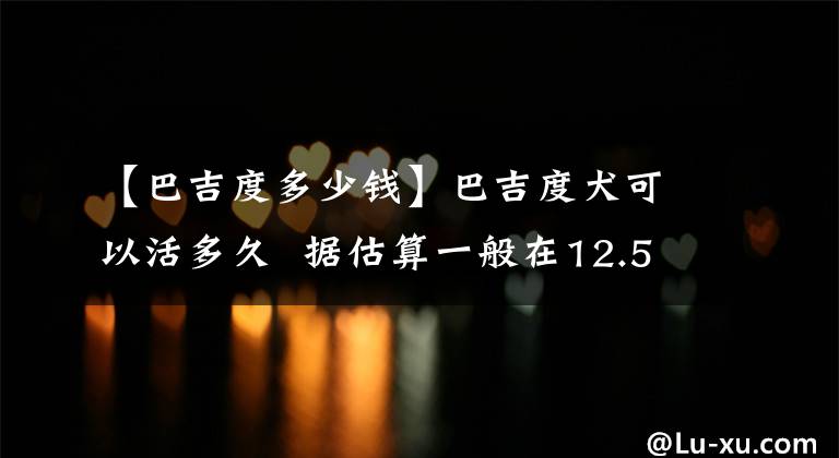 【巴吉度多少錢】巴吉度犬可以活多久 據(jù)估算一般在12.5歲