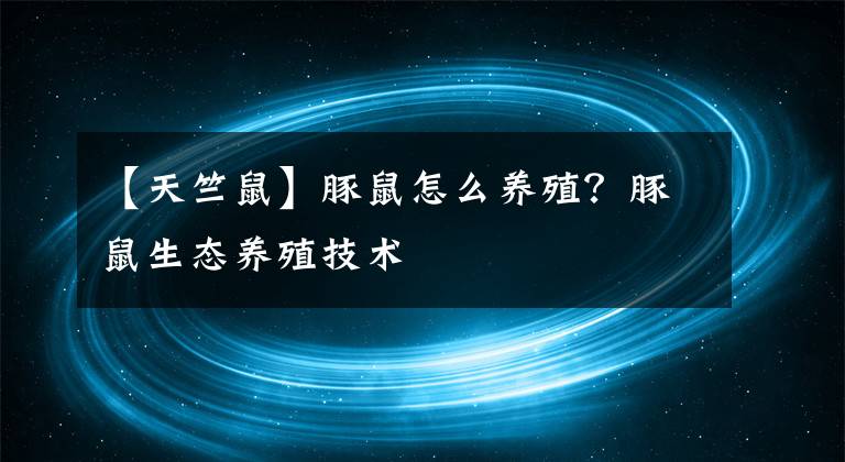 【天竺鼠】豚鼠怎么養(yǎng)殖？豚鼠生態(tài)養(yǎng)殖技術(shù)