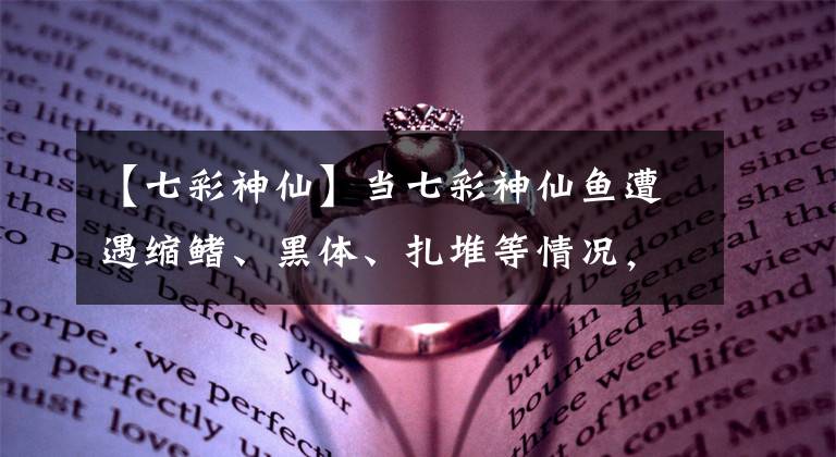 【七彩神仙】當(dāng)七彩神仙魚遭遇縮鰭、黑體、扎堆等情況，需要考慮哪些問題？