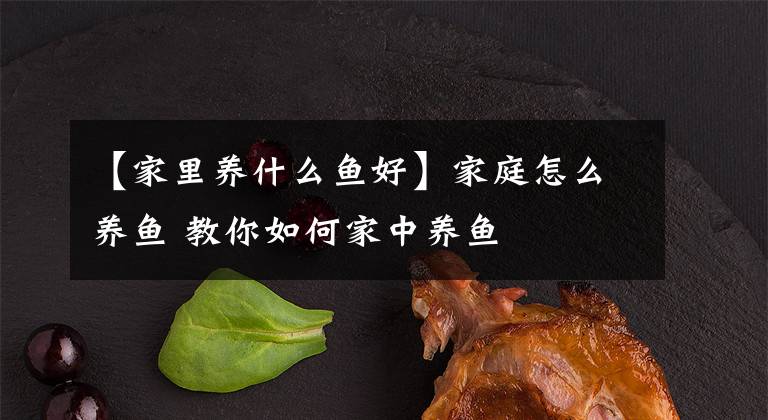 【家里養(yǎng)什么魚好】家庭怎么養(yǎng)魚 教你如何家中養(yǎng)魚