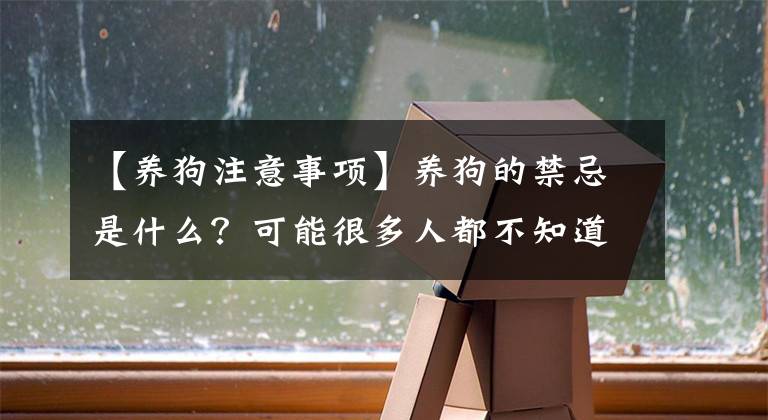 【養(yǎng)狗注意事項(xiàng)】養(yǎng)狗的禁忌是什么？可能很多人都不知道，我來(lái)為你解答一下