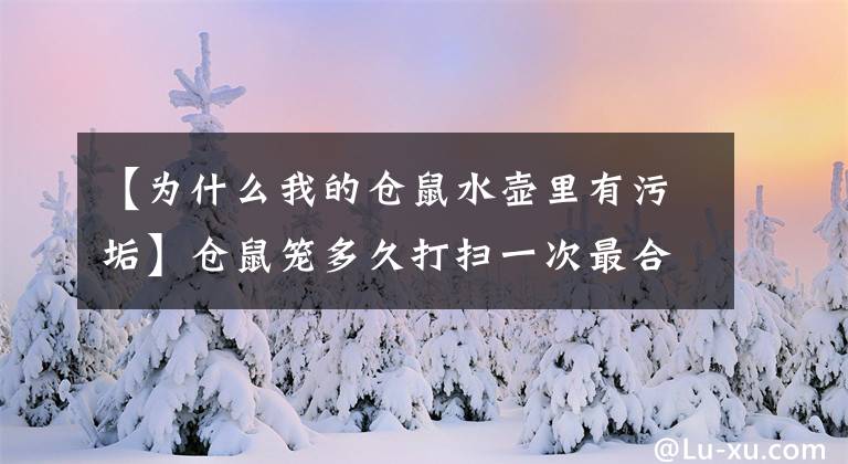 【為什么我的倉鼠水壺里有污垢】倉鼠籠多久打掃一次最合理？