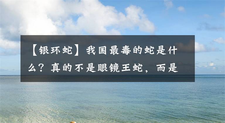 【銀環(huán)蛇】我國(guó)最毒的蛇是什么？真的不是眼鏡王蛇，而是性情溫和的銀環(huán)蛇