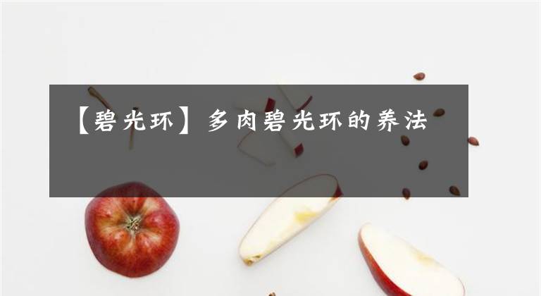 【碧光環(huán)】多肉碧光環(huán)的養(yǎng)法