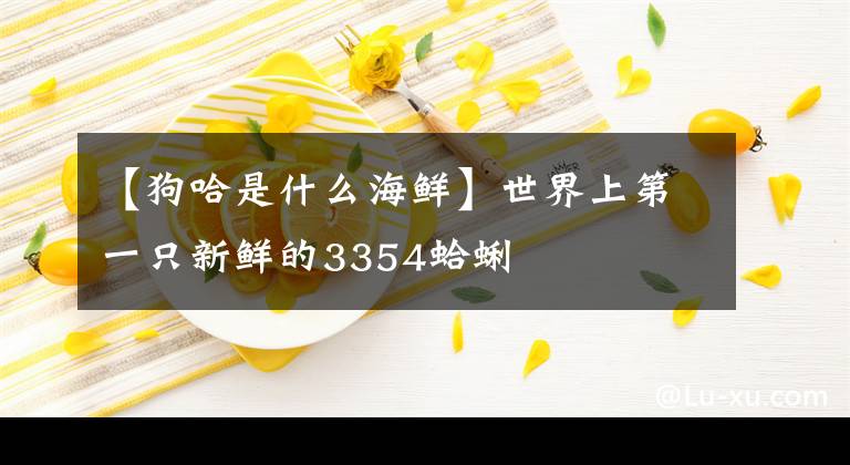 【狗哈是什么海鮮】世界上第一只新鮮的3354蛤蜊