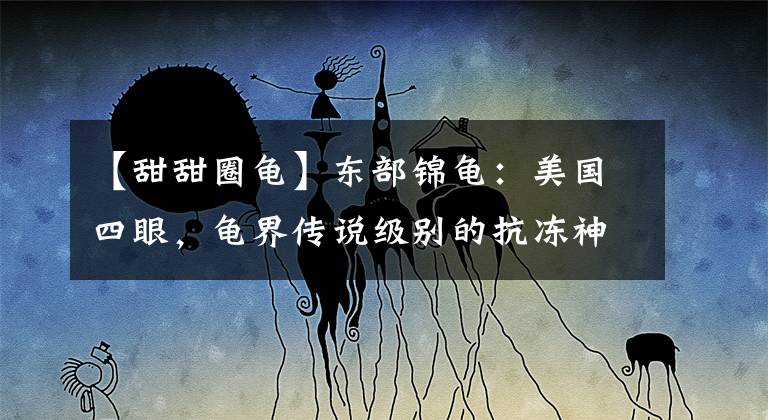 【甜甜圈龜】東部錦龜：美國四眼，龜界傳說級別的抗凍神仙