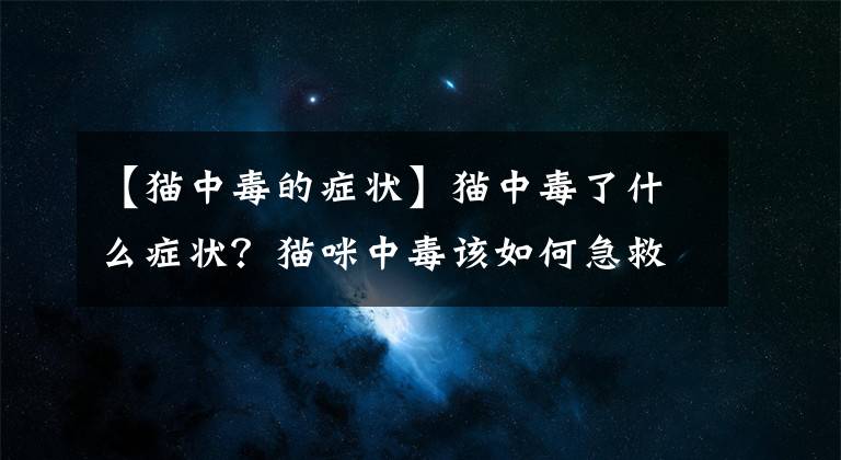 【貓中毒的癥狀】貓中毒了什么癥狀？貓咪中毒該如何急救？鏟屎官必備知識