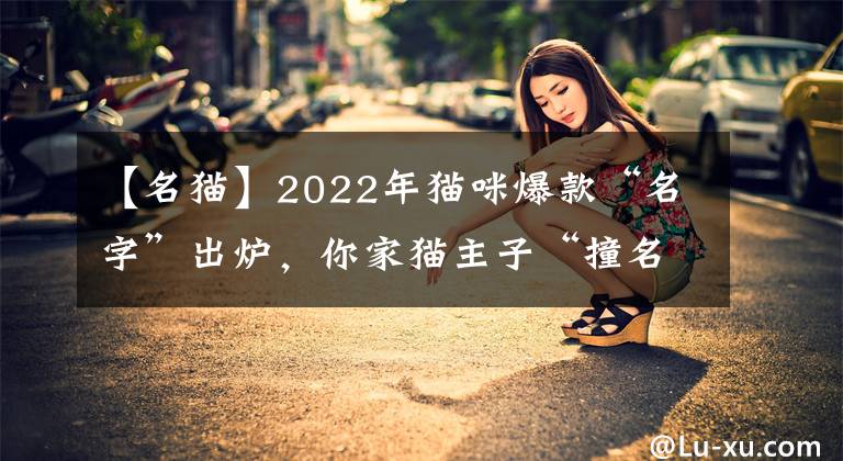 【名貓】2022年貓咪爆款“名字”出爐，你家貓主子“撞名”了嗎？