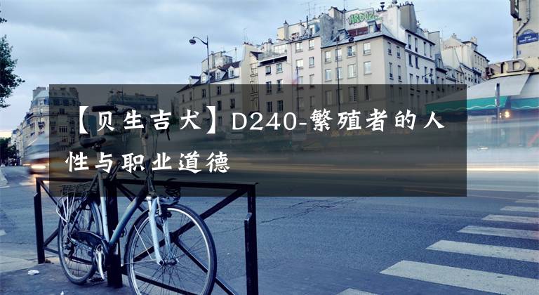 【貝生吉犬】D240-繁殖者的人性與職業(yè)道德