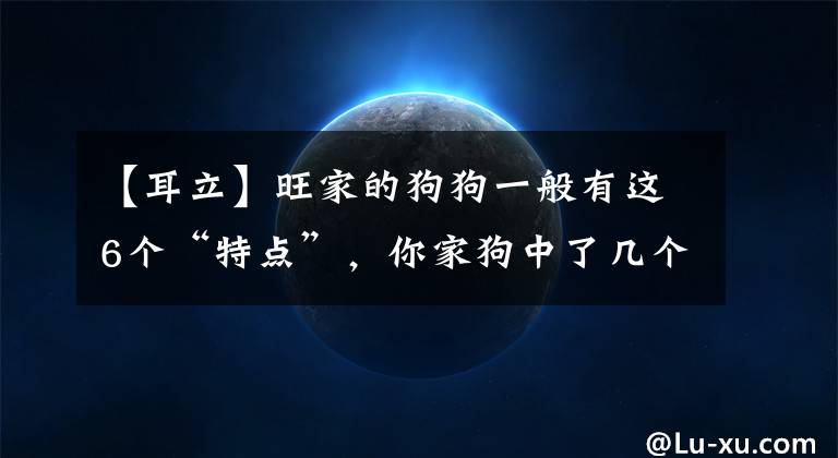 【耳立】旺家的狗狗一般有這6個“特點(diǎn)”，你家狗中了幾個？