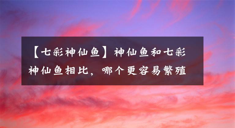 【七彩神仙魚(yú)】神仙魚(yú)和七彩神仙魚(yú)相比，哪個(gè)更容易繁殖，各有什么優(yōu)缺點(diǎn)？