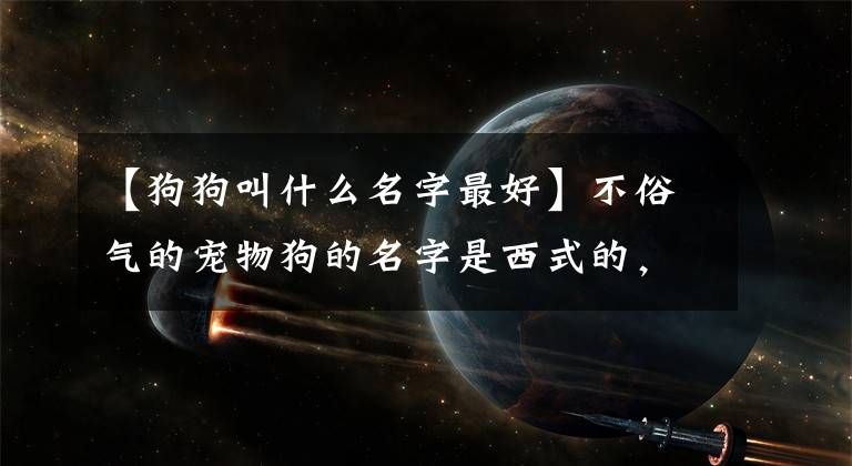 【狗狗叫什么名字最好】不俗氣的寵物狗的名字是西式的，很好聽-可愛