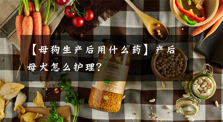 【母狗生產(chǎn)后用什么藥】產(chǎn)后母犬怎么護(hù)理？