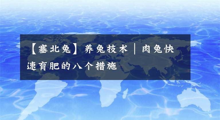 【塞北兔】養(yǎng)兔技術｜肉兔快速育肥的八個措施