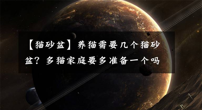 【貓砂盆】養(yǎng)貓需要幾個貓砂盆？多貓家庭要多準備一個嗎？它們能并排放嗎？