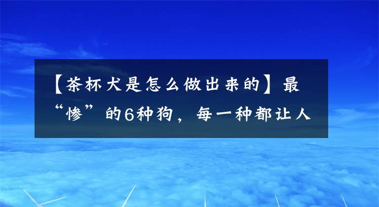 【茶杯犬是怎么做出來的】最“慘”的6種狗，每一種都讓人心疼