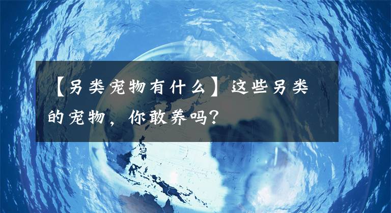 【另類寵物有什么】這些另類的寵物，你敢養(yǎng)嗎？