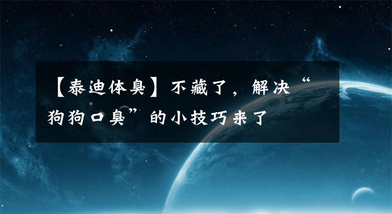 【泰迪體臭】不藏了，解決“狗狗口臭”的小技巧來了