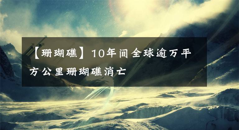 【珊瑚礁】10年間全球逾萬平方公里珊瑚礁消亡