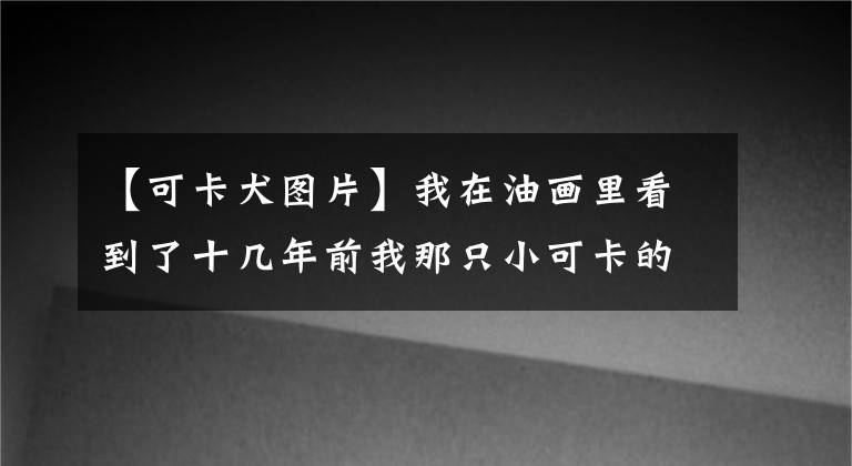 【可卡犬圖片】我在油畫里看到了十幾年前我那只小可卡的毛